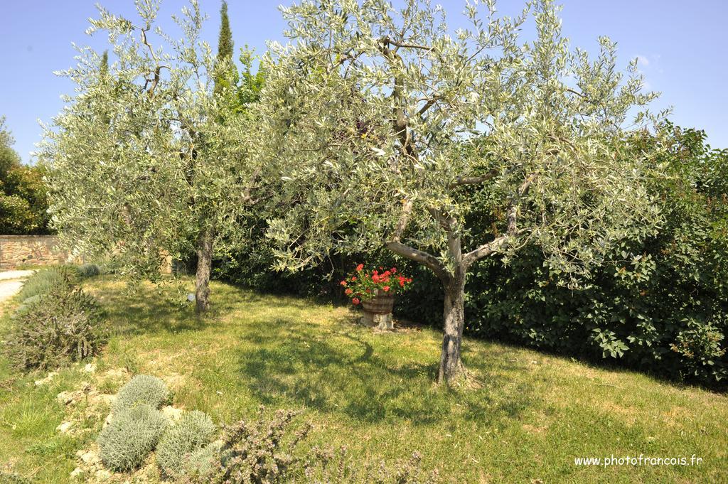 Agriturismo Il Sasso Montepulciano Stazione Exterior foto
